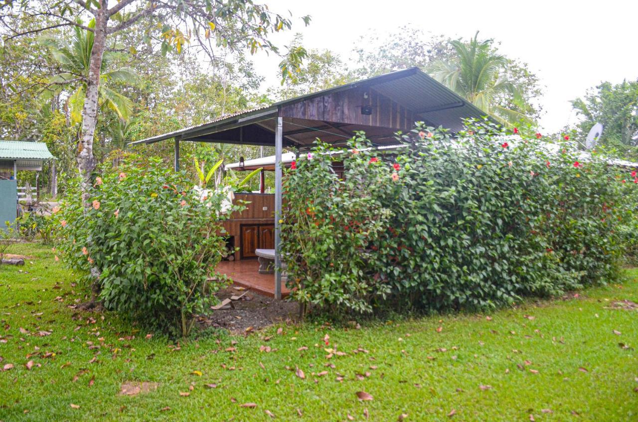 Hospedaje Y Alojamiento Cabanas Don Beto La Palma Eksteriør bilde