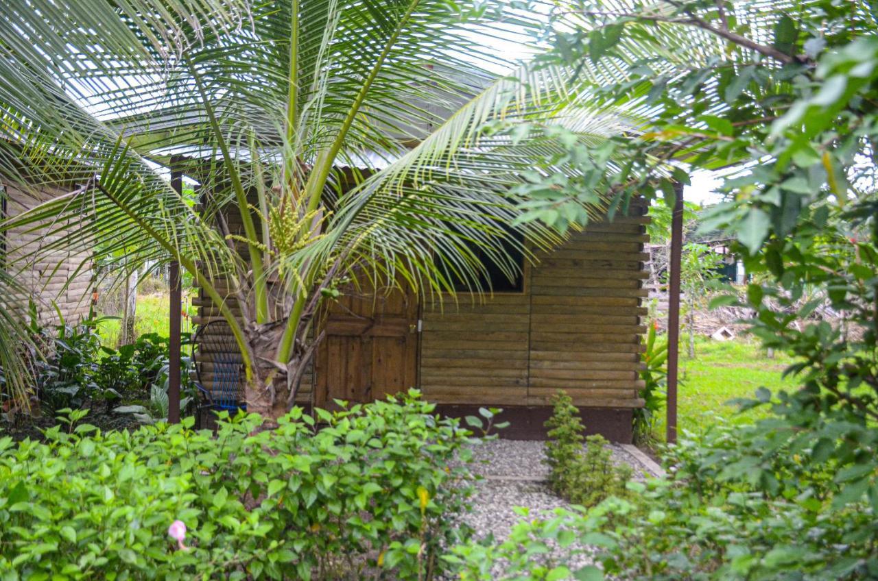 Hospedaje Y Alojamiento Cabanas Don Beto La Palma Eksteriør bilde